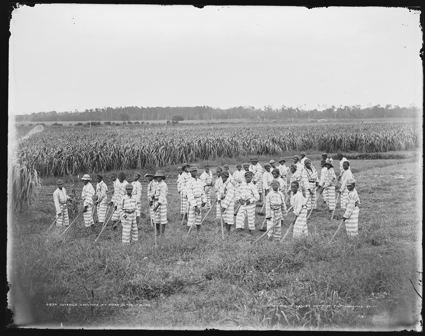 Children who were orphaned, removed from negligent parents, or who were juvenile offenders were especially vulnerable after emancipation. They could end up in the convict leasing system as "'apprentices" and fall once more into white planters' hands. Unknown location, ca. 1903. (Detroit Publishing Company Collection, Library of Congress)