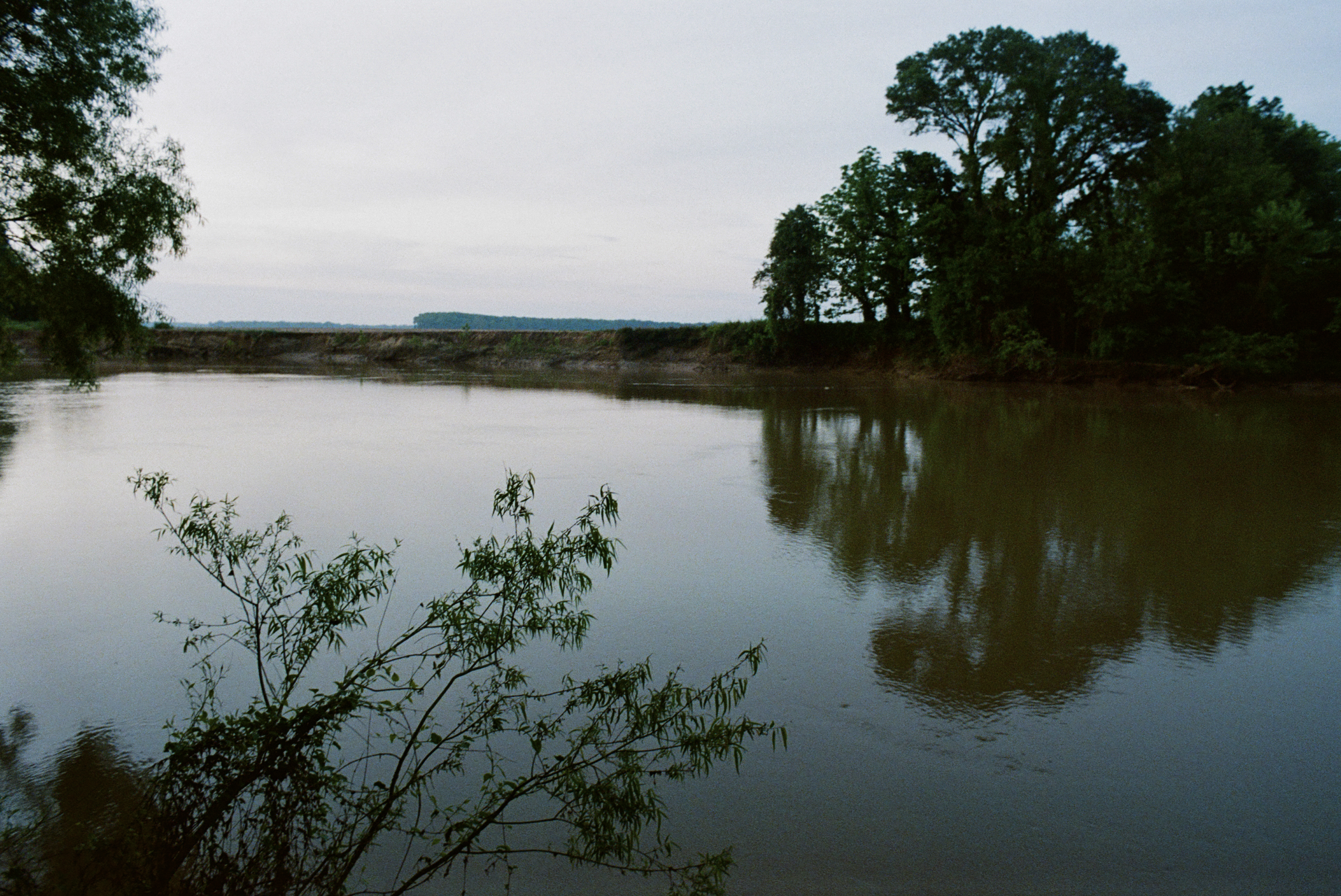 Mlab Till Santiagolowres25 (1)