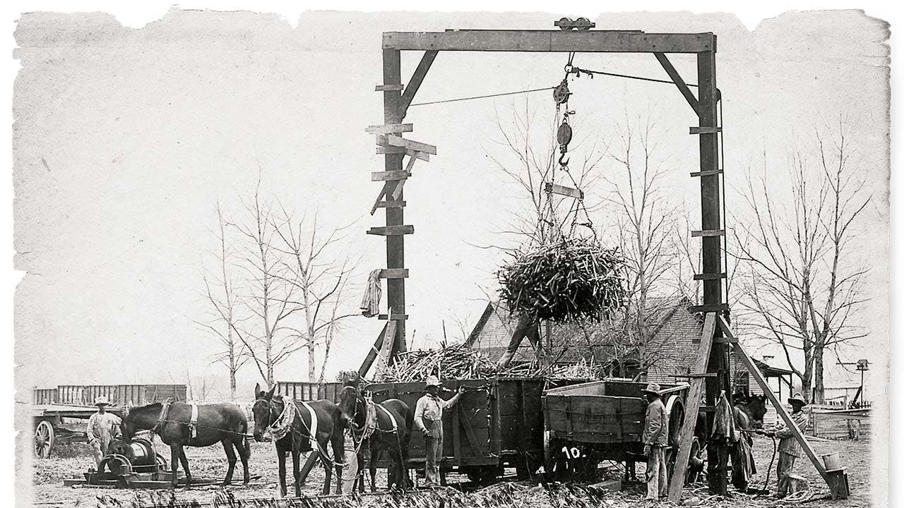 Convicts unloading a cane car at the Imperial Sugar Company’s mill sometime around 1900. (Sugar Land Heritage Foundation)