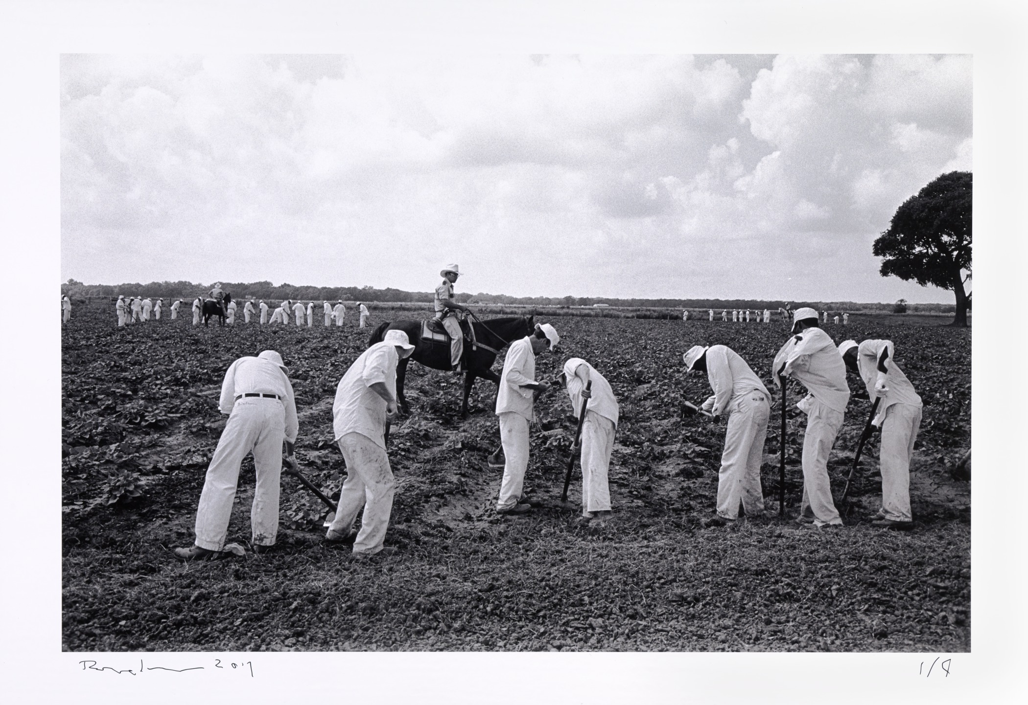 Even after the 1912 ban on Texas’ convict leasing system, the prisoners were put to work. The state-owned prison farms continued to expand well into the 1950s. Ellis Prison Farm, Texas from the series Inside the Wire, 1978. Bruce Jackson. (printed 2017) (Collection Albright-Knox Art Gallery, Buffalo, New York. Gift of the artist, 2017) (source: https://www.albrightknox.org/artworks/p20176217-ellis-prison-farm-texas-series-inside-wire)